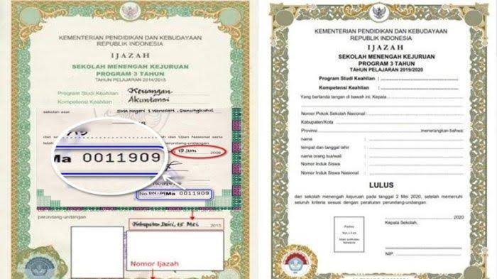 Cara Mudah Mengecek Nomor Ijazah SD SMP dan SMA - Halo Banten