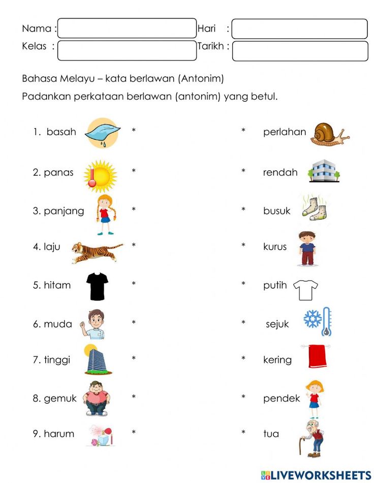 5 Rahasia Cepat Jawab Soal Sinonim dan Antonim Kelas 3 SD Agar Nilai Langsung Meroket