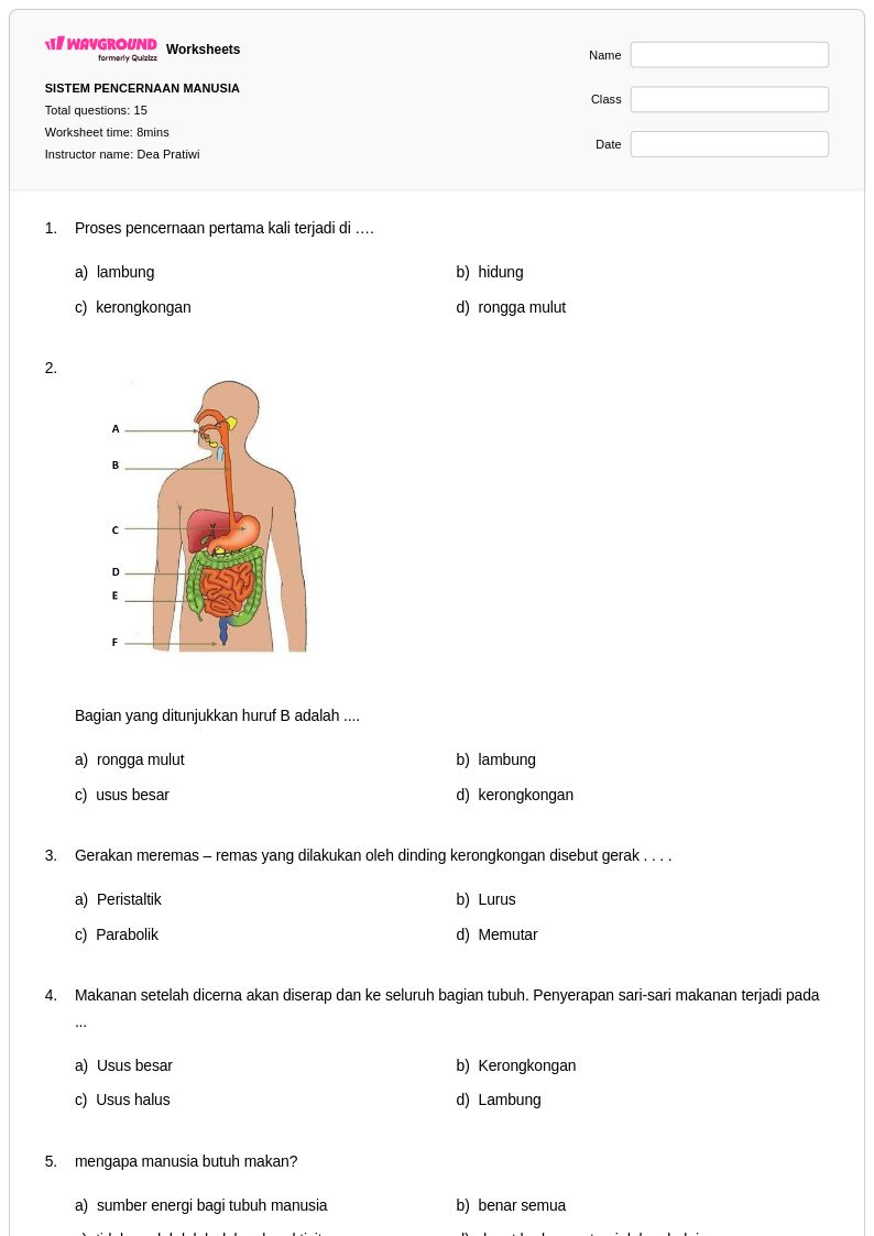 Ternyata Ini Bocoran Soal Sistem Pencernaan SD Kelas V Tema 3 Paling Akurat Ternyata Ini Bocoran Soal Sistem Pencernaan SD Kelas V Tema 3 Paling Akurat